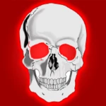 skull wallpapers android application logo